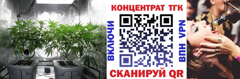 ТГК концентрат  ссылка на мегу как зайти  Хвалынск  сколько стоит 