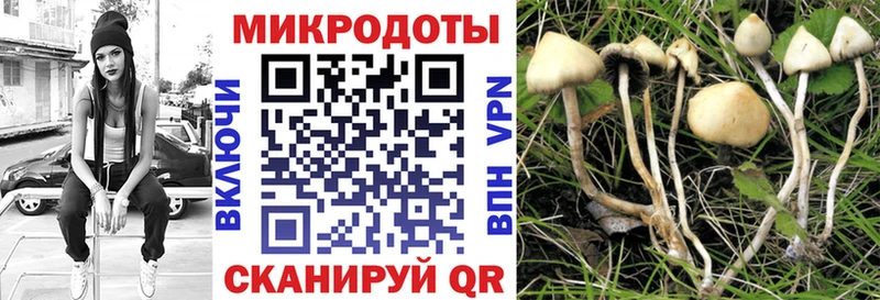 Псилоцибиновые грибы Cubensis  Хвалынск 